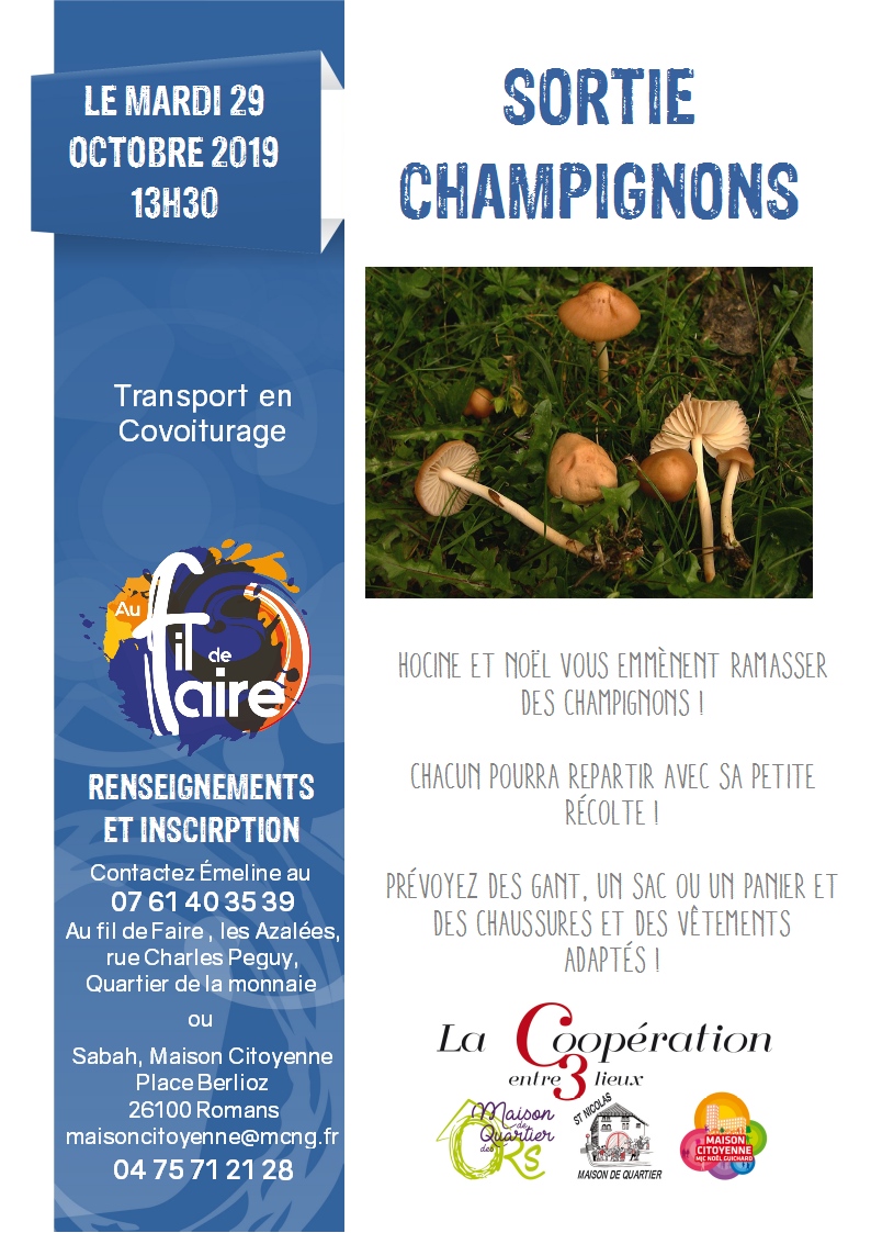 20191021 Sortie champignons